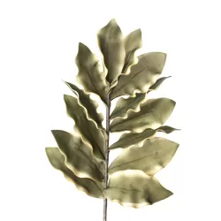 Dracena Cm. 92 h. - L'oca Nera