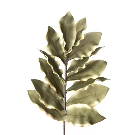 Dracena Cm. 92 h. - L'oca Nera