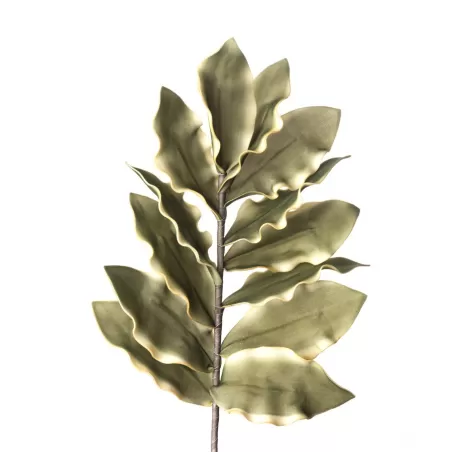 Dracena Cm. 92 h. - L'oca Nera