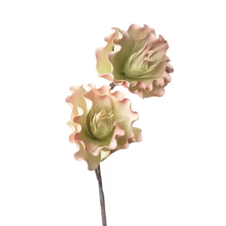 Papavero Cm. 93 h. - L'oca Nera