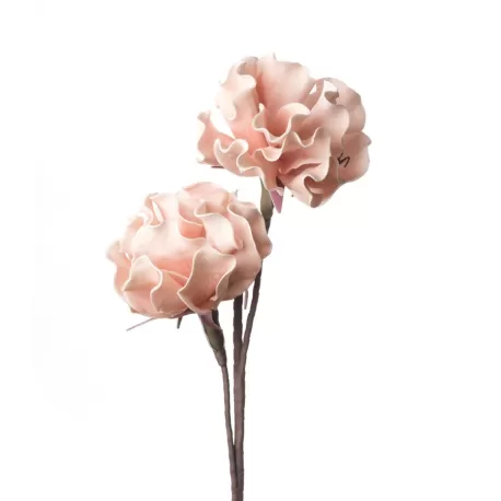 Peonia Erbacea rosa Cm. 85 h. - L'oca Nera