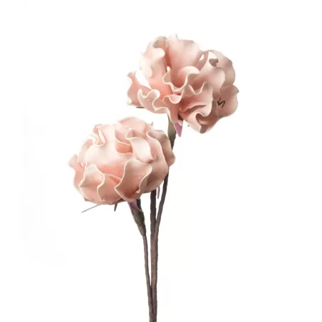 Peonia Erbacea rosa Cm. 85 h. - L'oca Nera