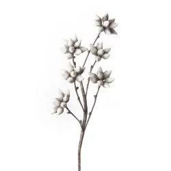 Magnolia Stellata Cm. 107 h. - L'oca Nera