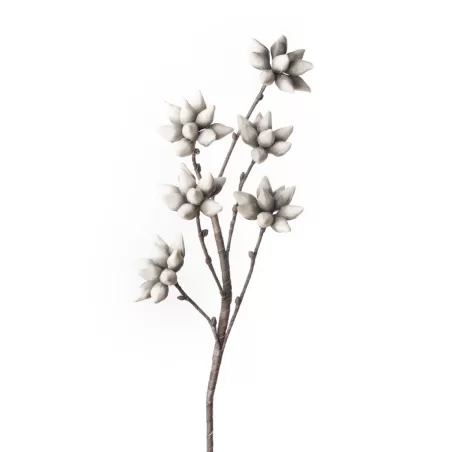 Magnolia Stellata Cm. 107 h. - L'oca Nera