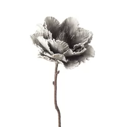 Peonia Officinalis Cm. 82 h. - L'oca Nera