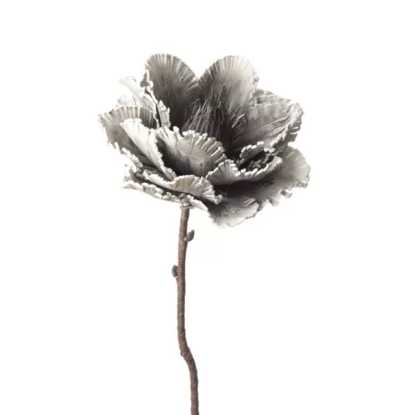 Peonia Officinalis Cm. 82 h. - L'oca Nera