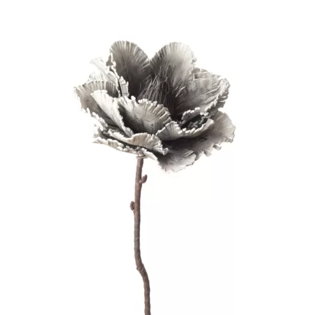 Peonia Officinalis Cm. 82 h. - L'oca Nera