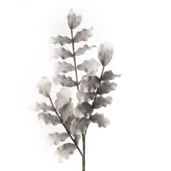 Foglie di Yulan Cm. 106 h. - L'oca Nera