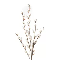 Salix Caprea Cm. 115 h. - L'oca Nera