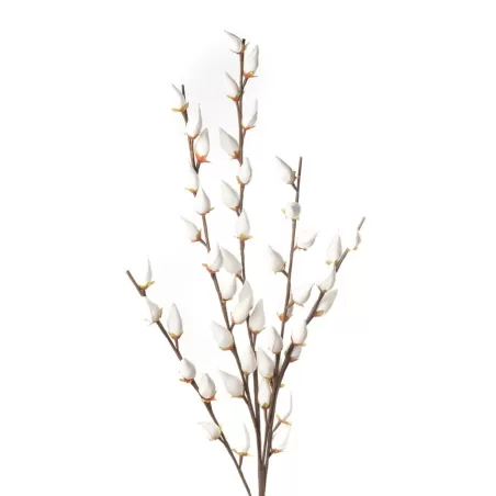 Salix Caprea Cm. 115 h. - L'oca Nera