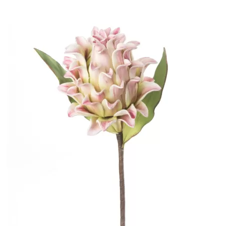 Protea Stem Cm. 63 h. - L'oca Nera