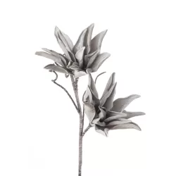 Agave bianca Cm. 80 h. - L'oca Nera