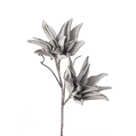 Agave bianca Cm. 80 h. - L'oca Nera