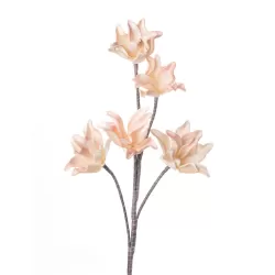 Chorista Ceiba Cm. 93 h. - L'oca Nera