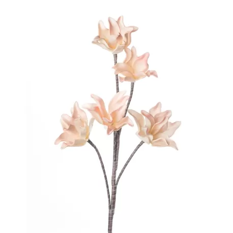 Chorista Ceiba Cm. 93 h. - L'oca Nera