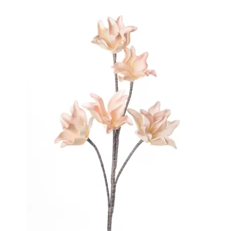 Chorista Ceiba Cm. 93 h. - L'oca Nera