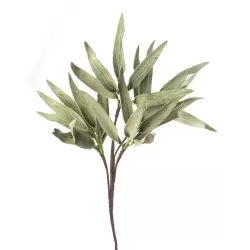 Felce di Giava Cm. 100 h. - L'oca Nera