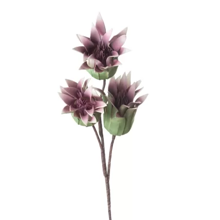 Protea Sharon Cm. 88 h. - L'oca Nera