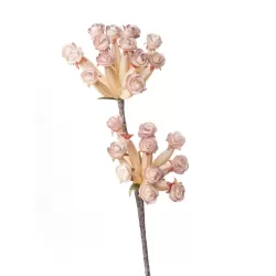 Fritillaria Cm. 86 h. - L'oca Nera