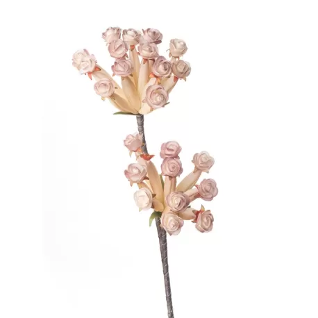 Fritillaria Cm. 86 h. - L'oca Nera