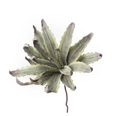 Agave Cm. 80 h. - L'oca Nera