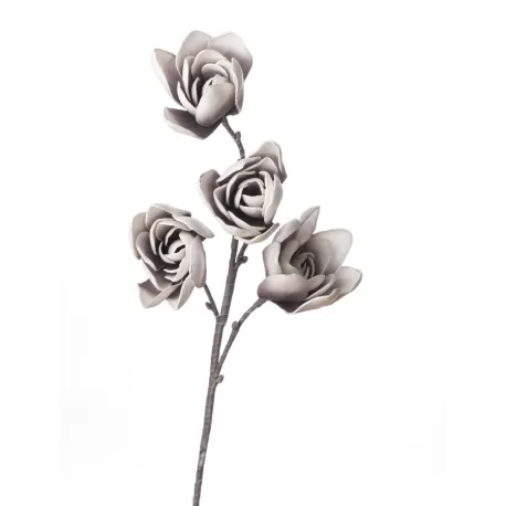 Magnolia Soulangeana Cm. 82 h. - L'oca Nera