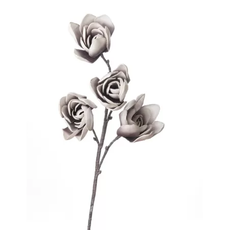 Magnolia Soulangeana Cm. 82 h. - L'oca Nera