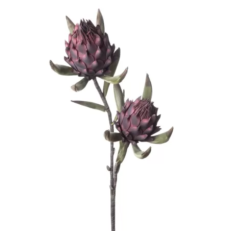 Protea Prince Cm. 100 h. - L'oca Nera