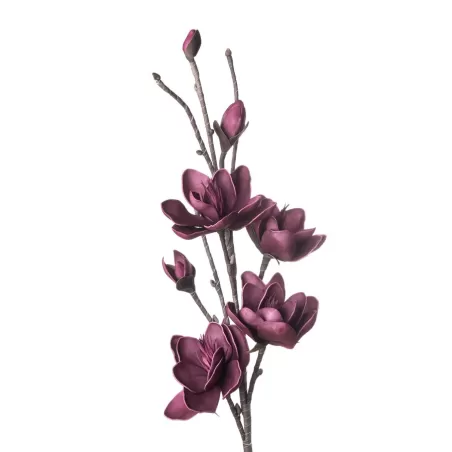 Magnolia Genie Cm. 105 h. - L'oca Nera