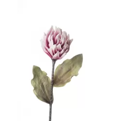 Dalia Cactus Cm. 93 h. - L'oca Nera