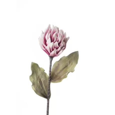 Dalia Cactus Cm. 93 h. - L'oca Nera