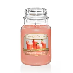 White Strawberry Bellini, Giara Grande - Yankee Candle