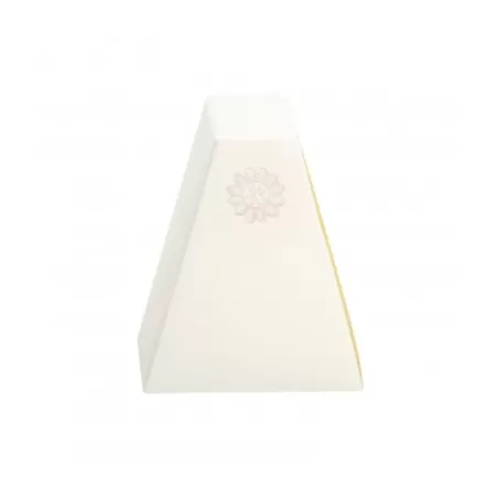 Fetta torta icona sole - Thun