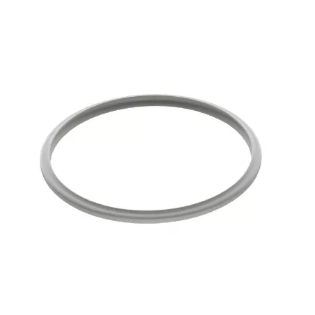 Guarnizione per pentola a pressione Cm. 20 - Wmf