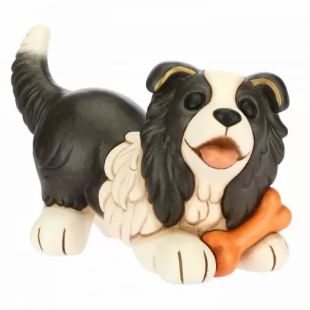 Cane Border Collie - Thun