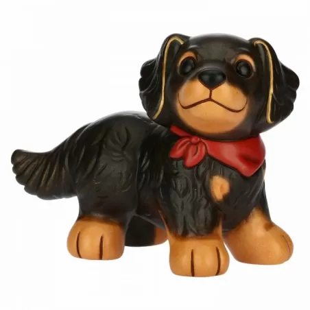 Cane Hovawart - Thun