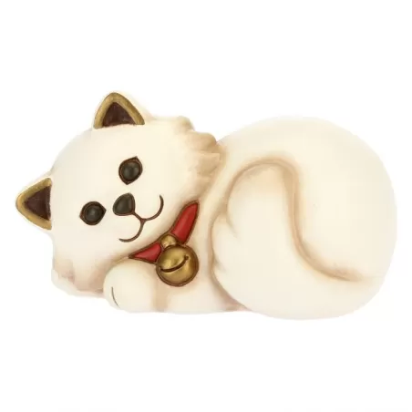 Gatto Persiano - Thun