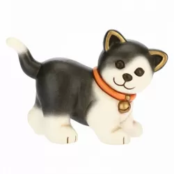 Gatto Europeo - Thun