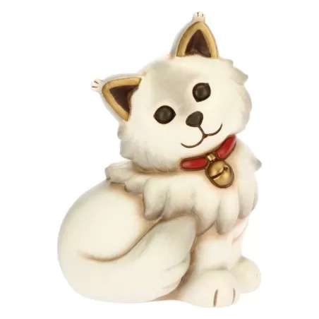 Gatto Maine Coon - Thun