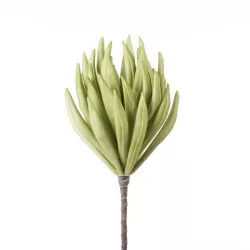 Echeveria Cm. 85 h. - L'oca Nera