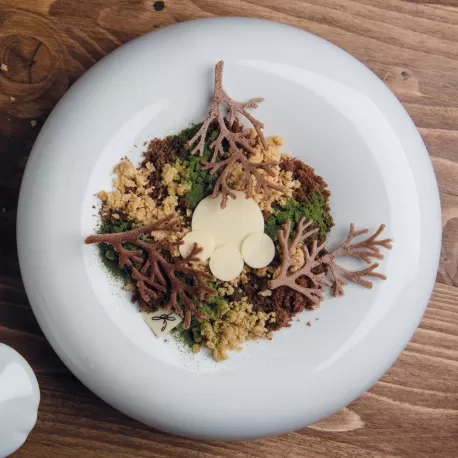 Stampo in silicone Wood - Pavoni