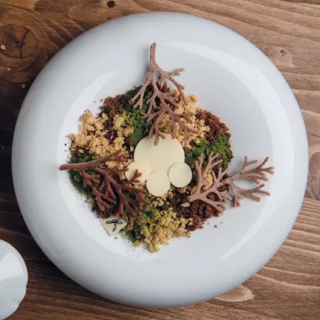 Stampo in silicone Wood - Pavoni