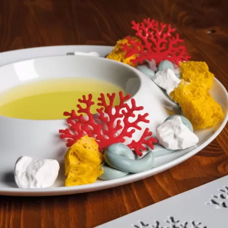 Stampo in silicone Coral HO.RE.CA. Eureka! - Pavoni