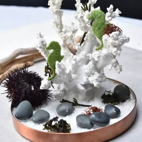 Stampo in silicone Stone HO.RE.CA. Eureka! - Pavoni