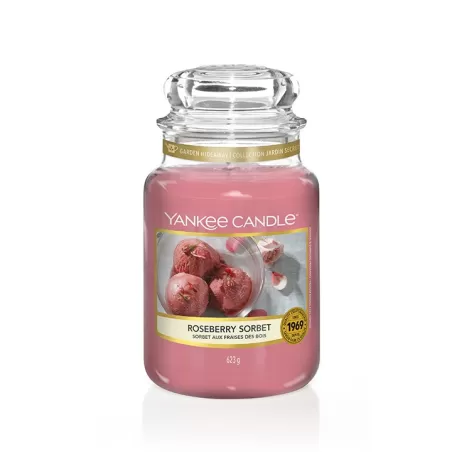 Roseberry Sorbet, Giara Grande - Yankee Candle