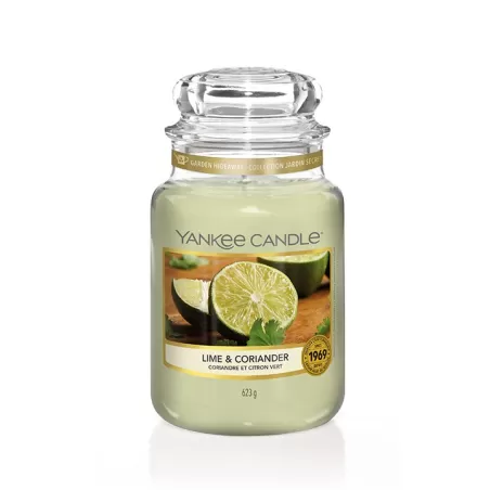 Lime & Coriander, Giara Grande - Yankee Candle