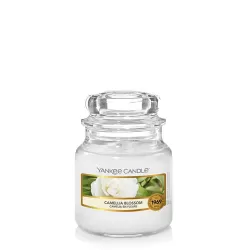 Camelia Blossom, Giara Piccola - Yankee Candle