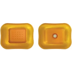 Mary Biscuit, magnete