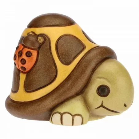 Tartaruga nel guscio piccola - Thun