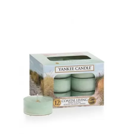Coastal Living, Tart da fondere - Yankee Candle